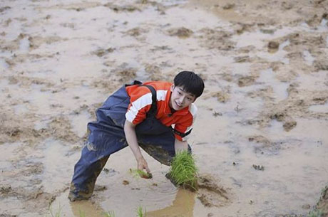 《向往的生活》一部充满慢生活气息的综艺