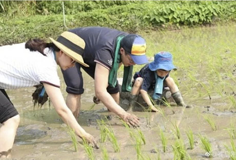 跳水皇后郭晶晶已经生下第三胎女儿